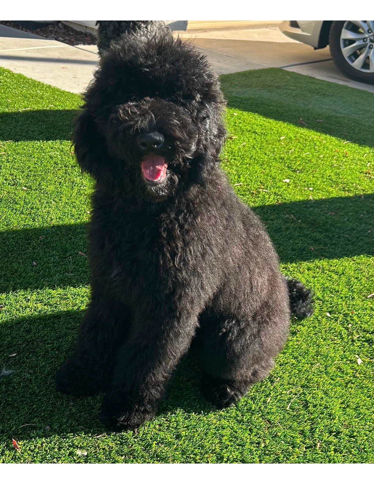 Murphy